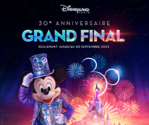 DISNEYLAND BILLET FLEX 1 JOUR 2 PARCS Loisirs Tourisme En Bretagne